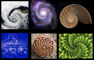 nature fib