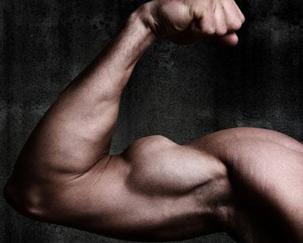 Testosterone