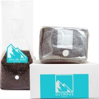 lions mane growkit