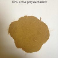 lions mane mushroom extract